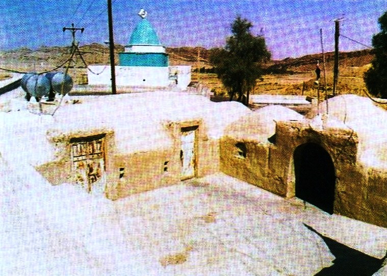 004.jpg